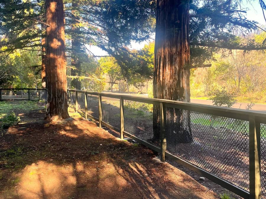 Fence project in Chico